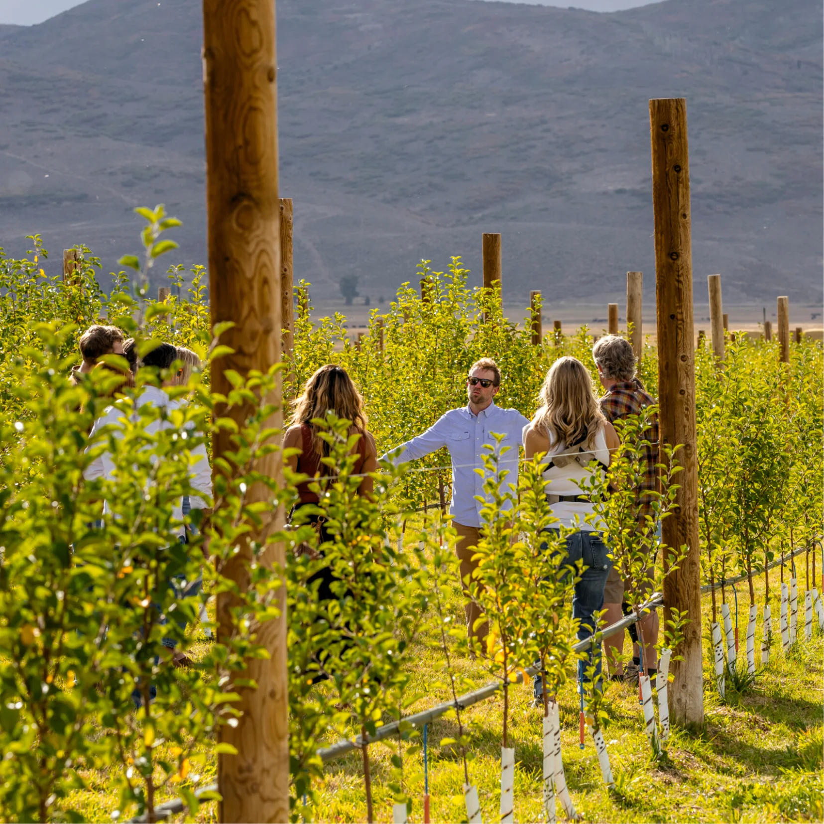 Culinary Spotlights — Chef's Table Festival event